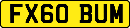 FX60BUM