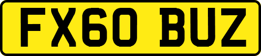 FX60BUZ