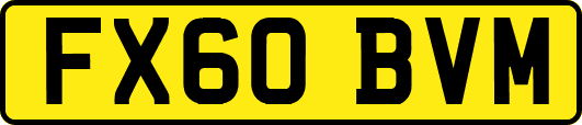 FX60BVM