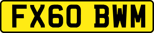 FX60BWM