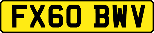 FX60BWV