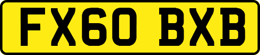 FX60BXB