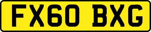 FX60BXG