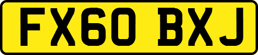 FX60BXJ
