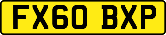 FX60BXP
