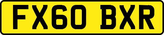 FX60BXR