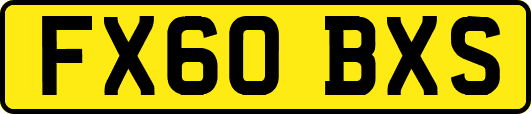 FX60BXS