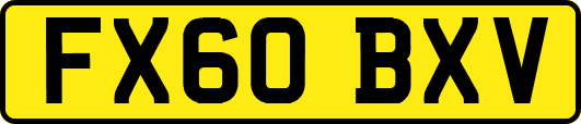 FX60BXV