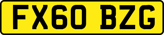 FX60BZG