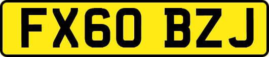 FX60BZJ