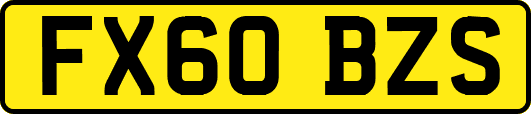FX60BZS