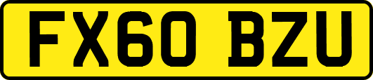 FX60BZU