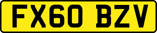 FX60BZV