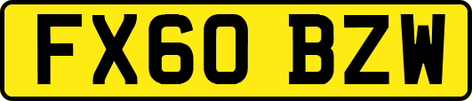 FX60BZW
