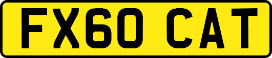 FX60CAT