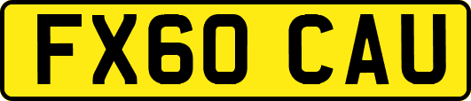 FX60CAU