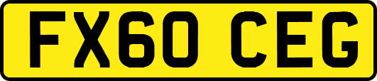 FX60CEG