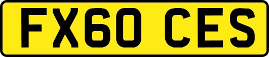 FX60CES
