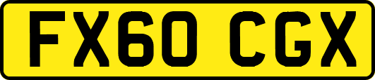 FX60CGX