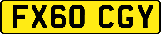 FX60CGY