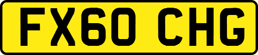 FX60CHG