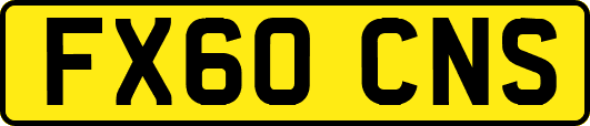FX60CNS
