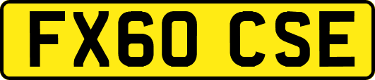 FX60CSE