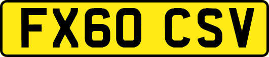 FX60CSV
