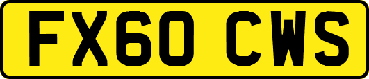 FX60CWS