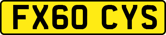 FX60CYS