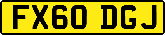 FX60DGJ