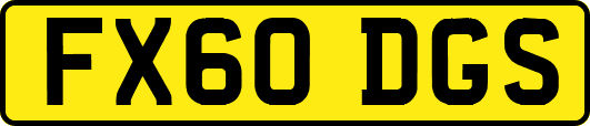 FX60DGS