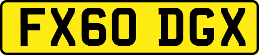 FX60DGX