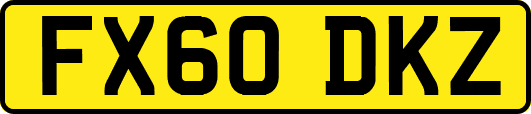 FX60DKZ