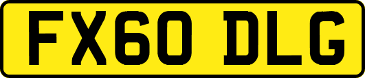 FX60DLG