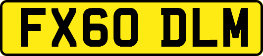 FX60DLM