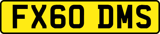 FX60DMS