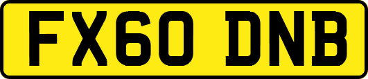 FX60DNB