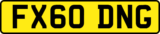 FX60DNG