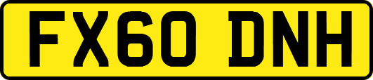 FX60DNH