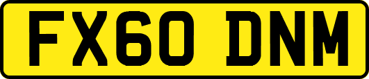 FX60DNM