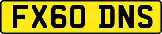 FX60DNS