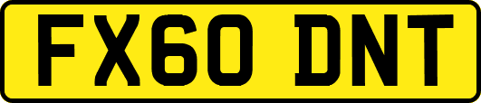 FX60DNT