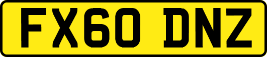 FX60DNZ