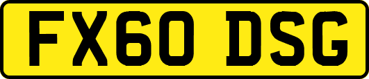 FX60DSG