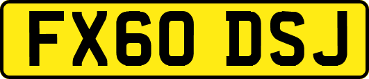 FX60DSJ