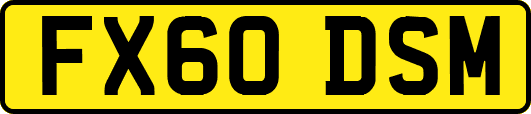 FX60DSM