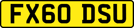FX60DSU