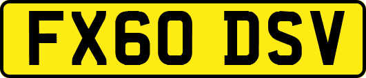 FX60DSV