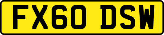 FX60DSW